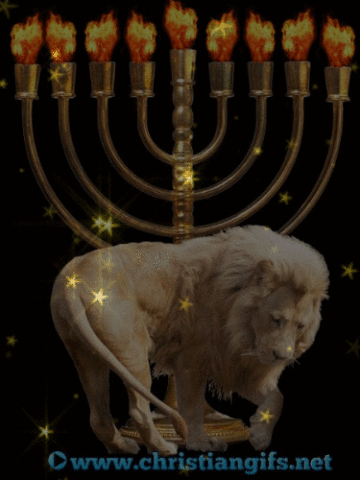 Lion Of Judah Star Animation