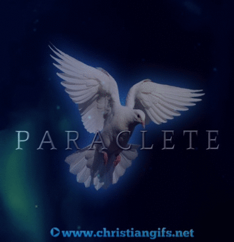 Paraclete Aurora