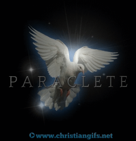 Paraclete With White Light Animation