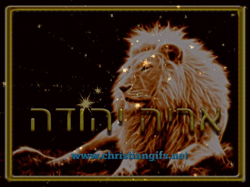 Lion of Judah in Hebrew Star Animation