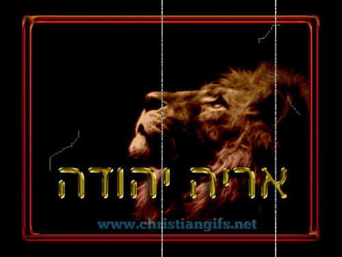 Ariel Lion of Judah Film Animation
