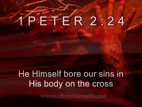 1 Peter 2 Verse 24