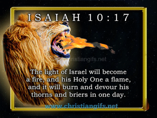 Isaiah 10 Verse 17