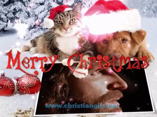 Merry Christmas From Your Pets