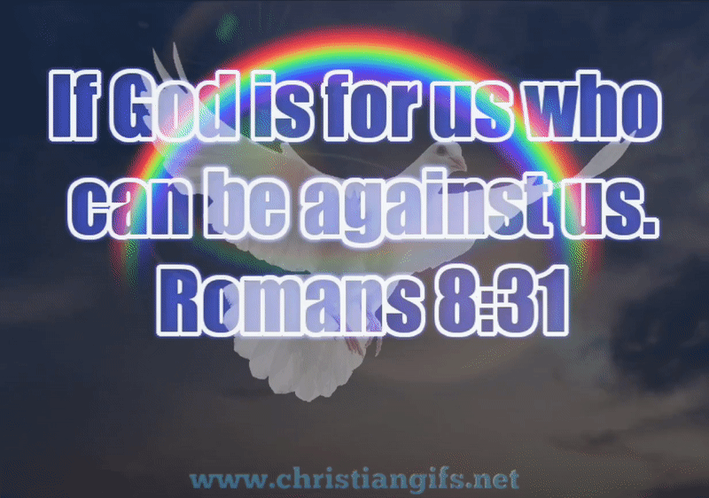Romans 8 Verse 31