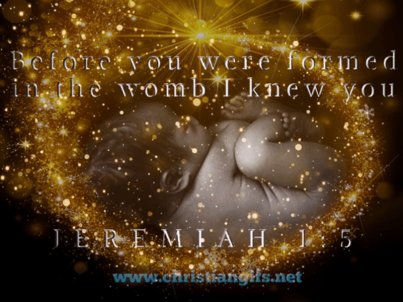 Before You Were Formed Jeremiah 1 Verse 5