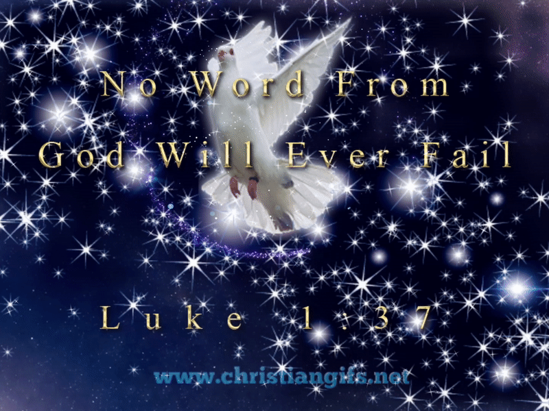 No Word Will Fail Luke 1 Verse 37