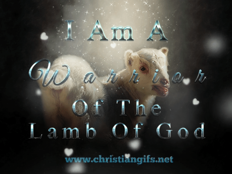 Warrior Of The Lamb Of God