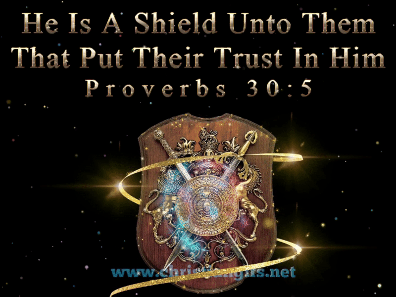 A Shield Unto Them Proverbs 30 Verse 5