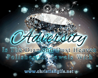 Adversity Is The Diamond Dust