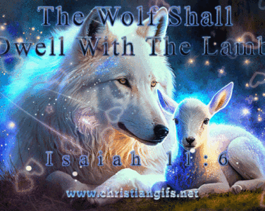Wolf and Lamb Isaiah 11 Verse 6