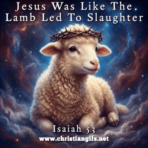 Jesus Was Like The Lamb Isaiah 53